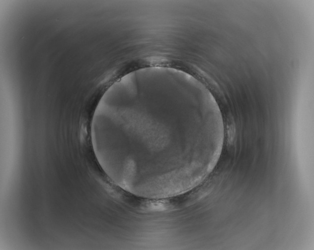 X0000111120618200908111020