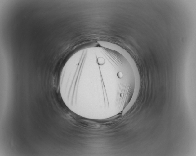 X0000111120621200908111020