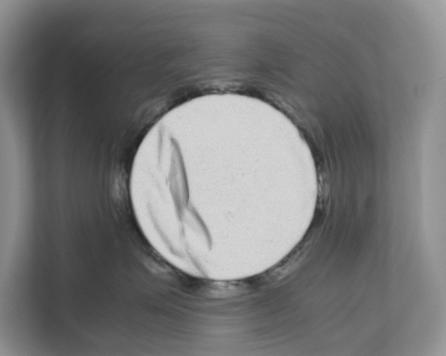 X0000111120623200908111020