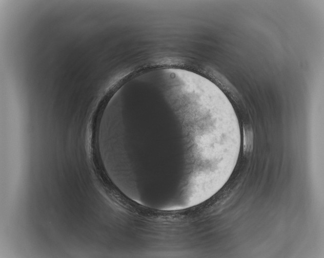 X0000111120627200908111019