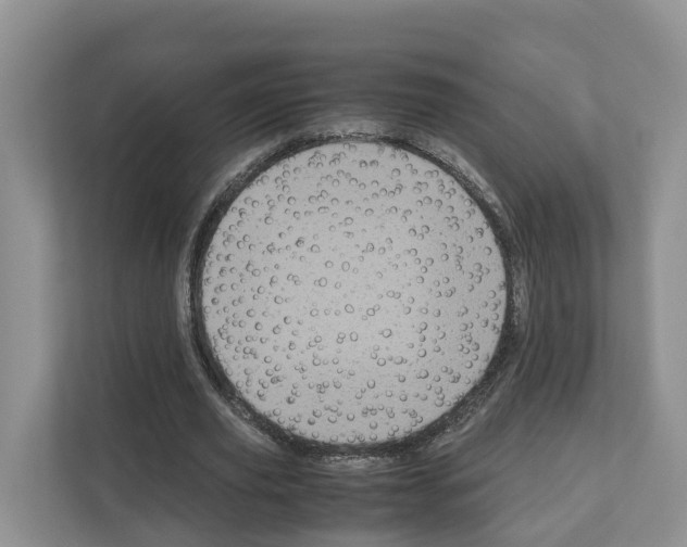 X0000111120629200908111019