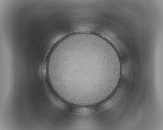 X0000111120632200908111019