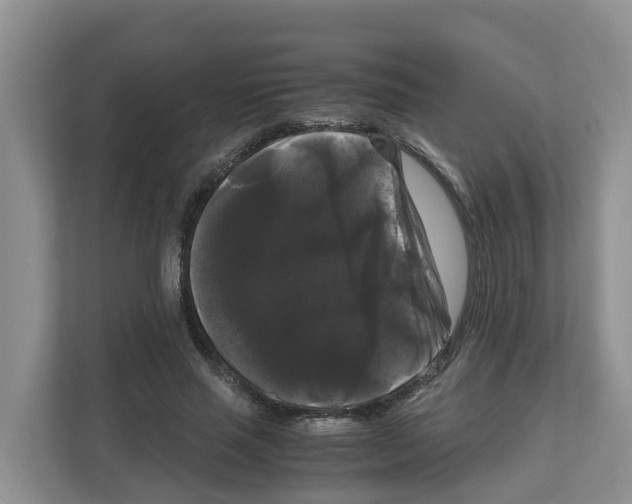 X0000111120637200908111020