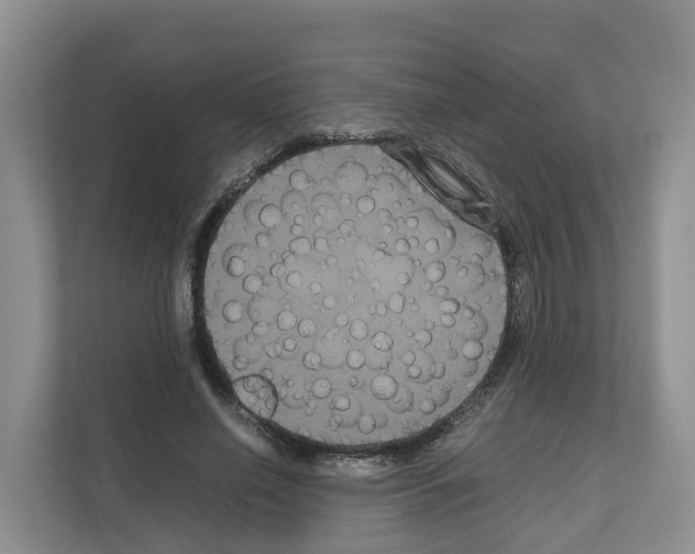 X0000111120638200908111020