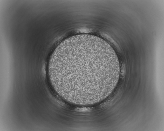 X0000111120639200908111020