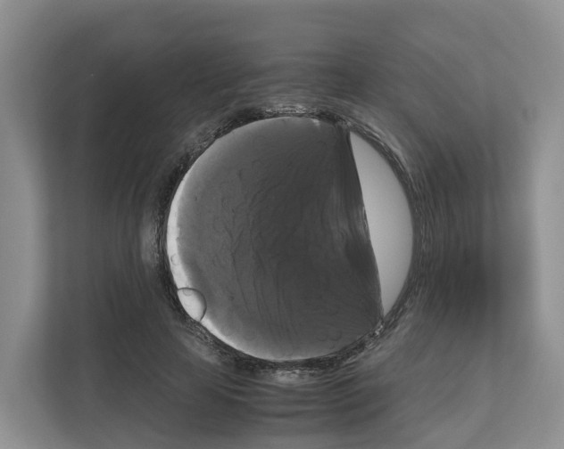 X0000111120641200908111020