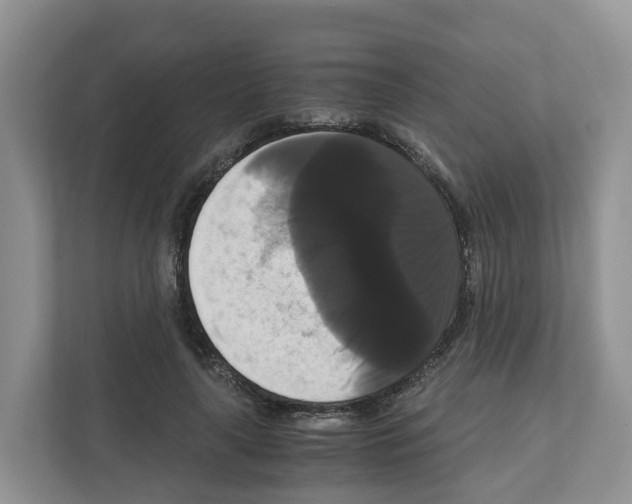 X0000111120643200908111020