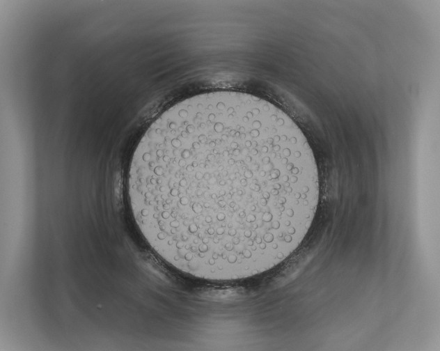 X0000111120646200908111020