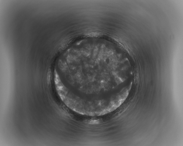 X0000111120647200908111020