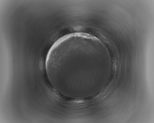 X0000111120651200908111020