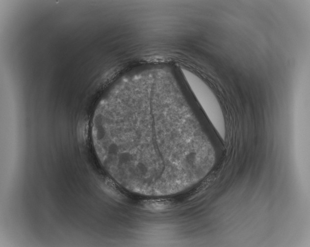 X0000111120652200908111020