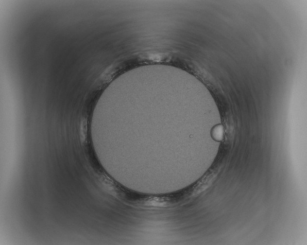 X0000111120656200908111020