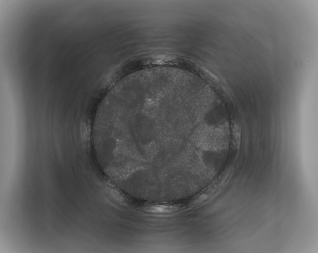 X0000111120657200908111020
