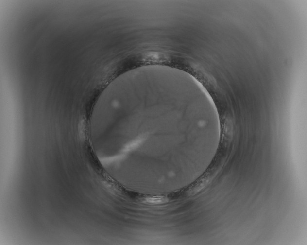 X0000111120659200908111020