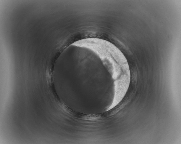 X0000111120661200908111020