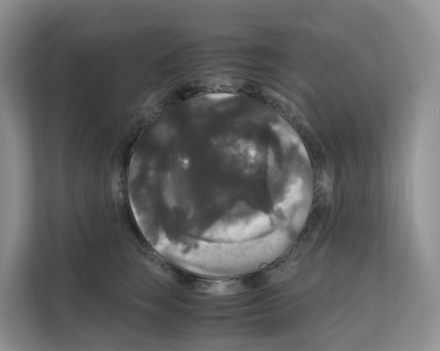 X0000111120663200908111020