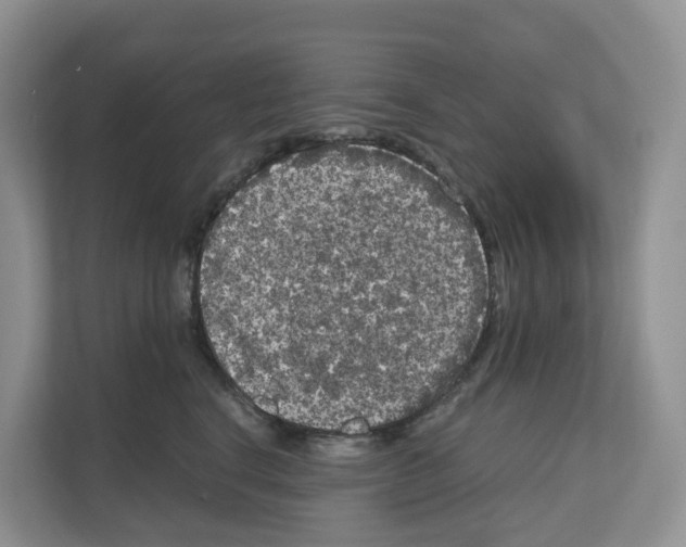 X0000111120664200908111020
