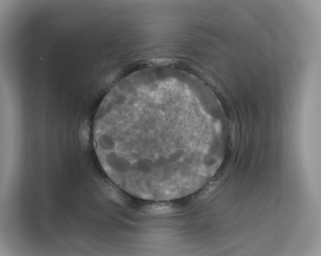 X0000111120668200908111020