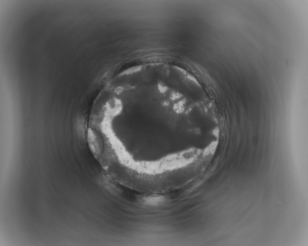 X0000111120669200908111020