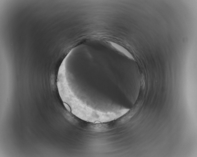 X0000111120670200908111020
