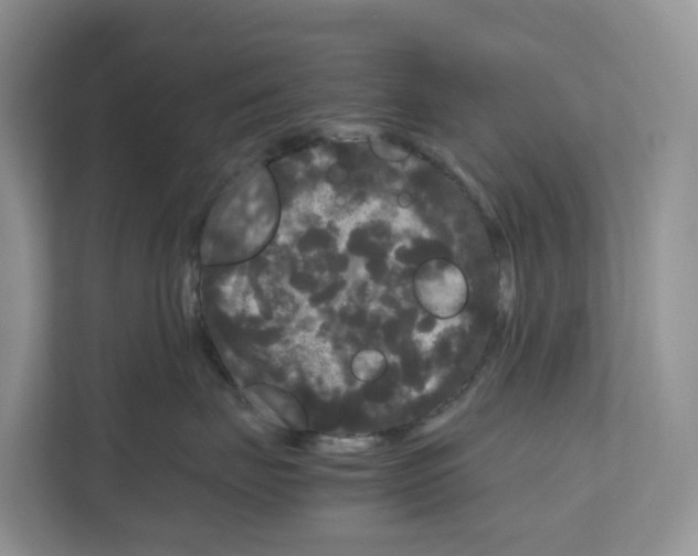 X0000111120671200908111020