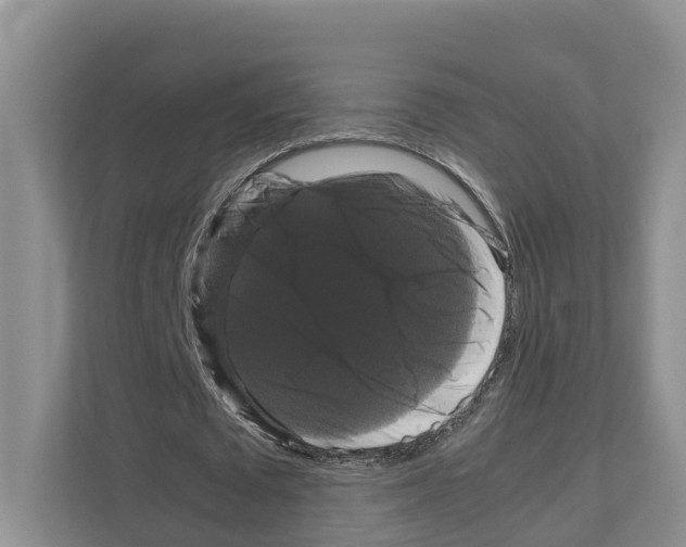 X0000111120673200908111019