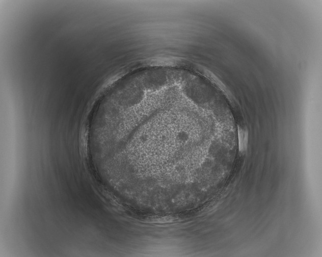 X0000111120675200908111019