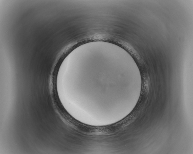 X0000111120678200908111019