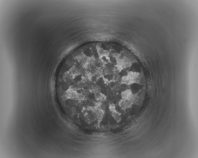 X0000111120679200908111019