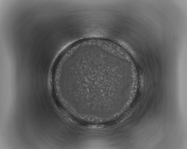X0000111120680200908111019