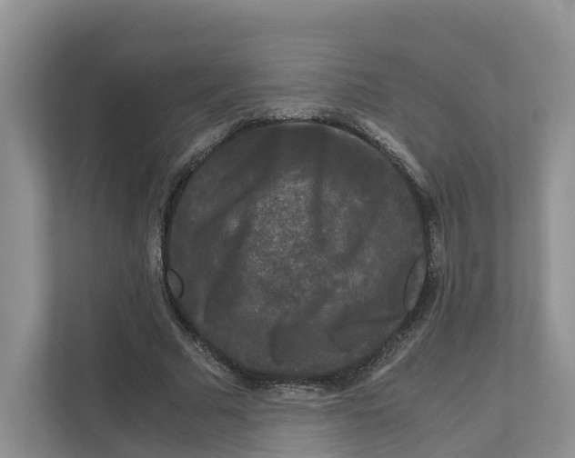 X0000111120681200908111019