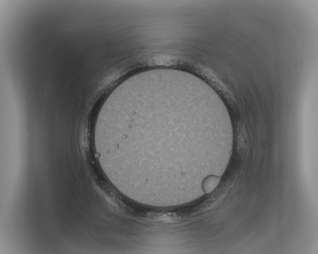 X0000111120683200908111019