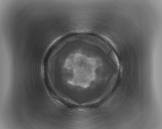 X0000111120684200908111019