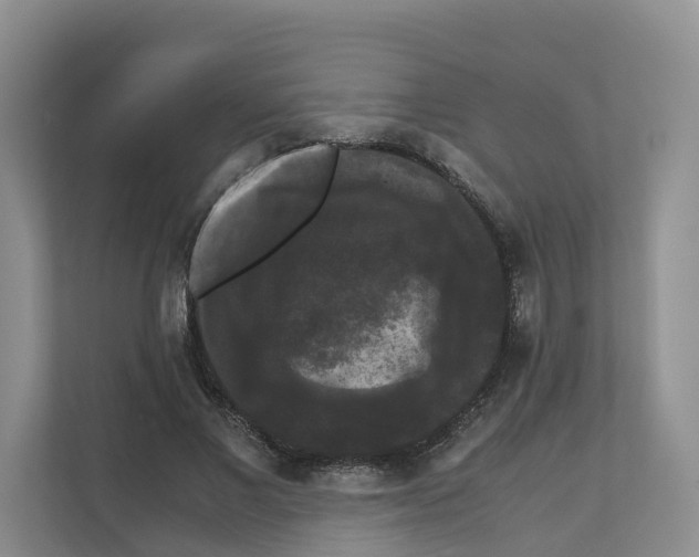 X0000111120685200908111019
