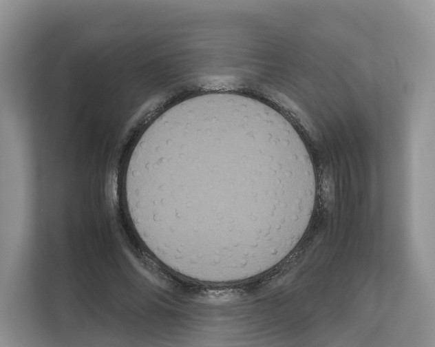 X0000111120686200908111019