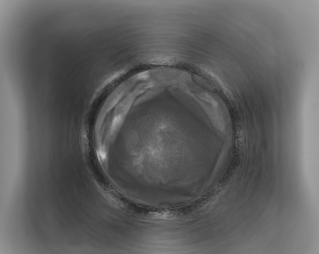 X0000111120688200908111019