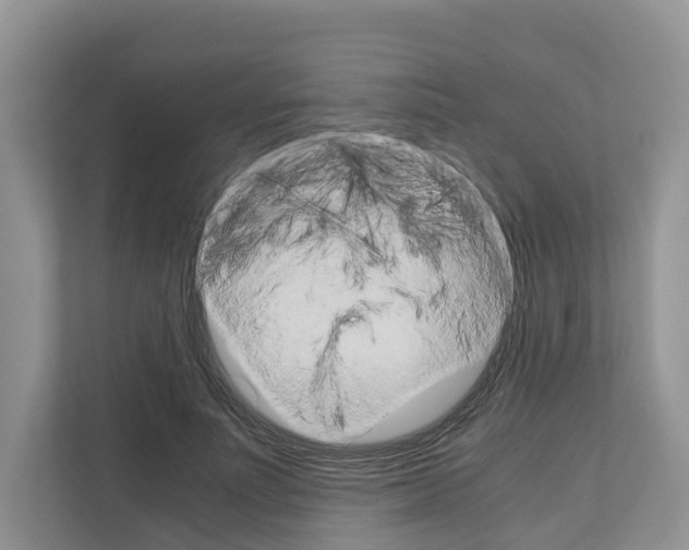 X0000111120691200908111019