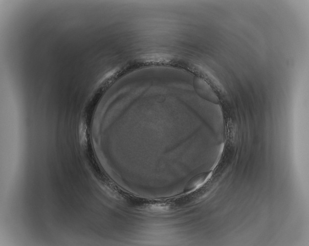 X0000111120692200908111019
