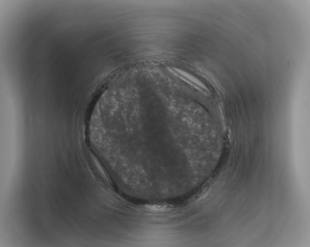 X0000111120693200908111019