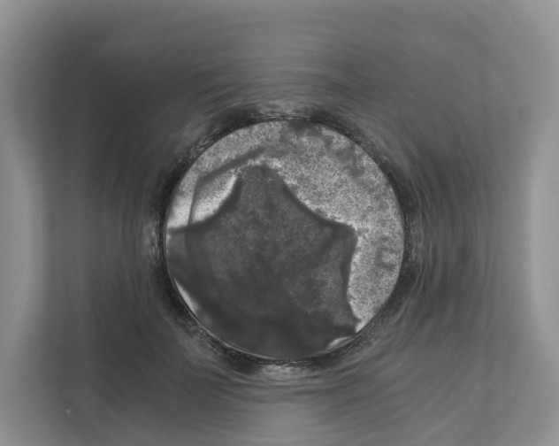 X0000111120699200908111019