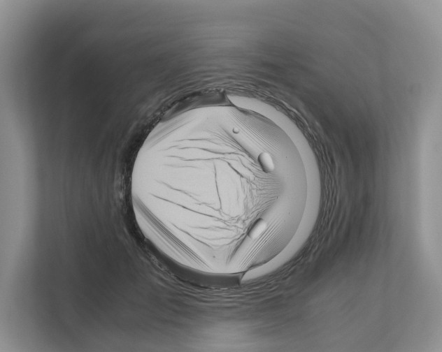 X0000111120701200908111019