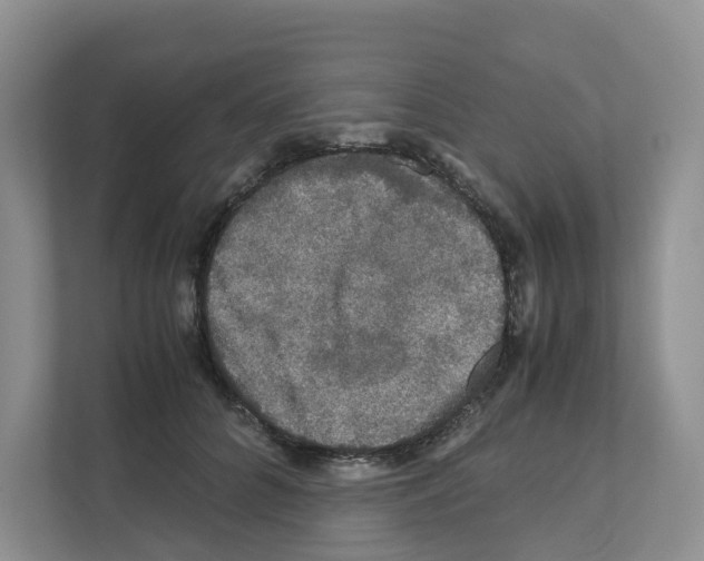 X0000111120704200908111019