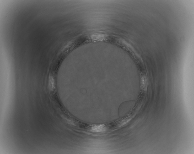 X0000111120705200908111019