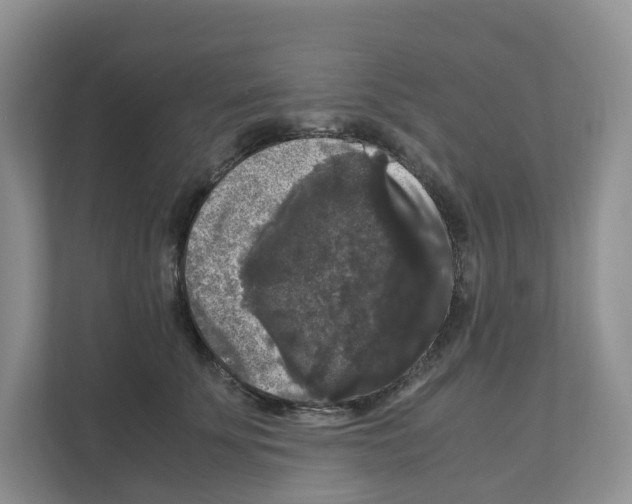 X0000111120707200908111019