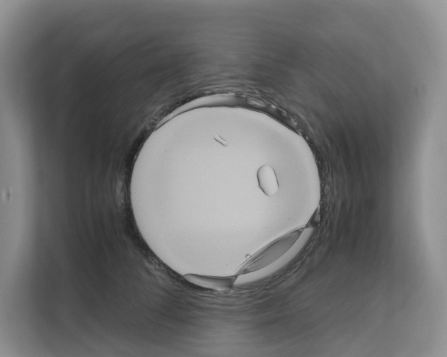 X0000111120708200908111019