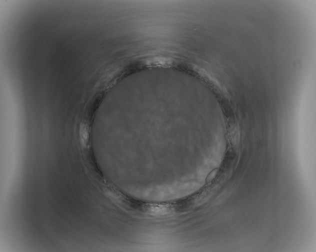 X0000111120709200908111019