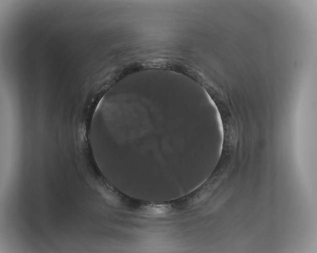 X0000111120711200908111019