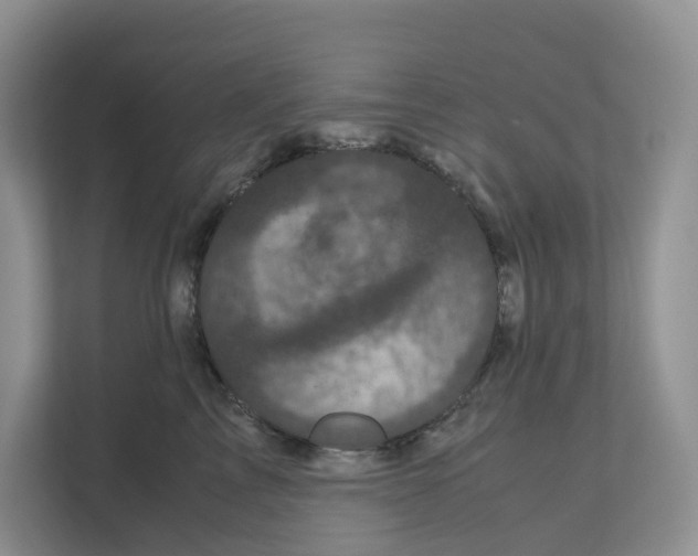 X0000111120713200908111019