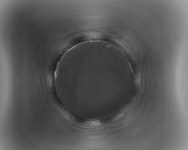 X0000111120715200908111019