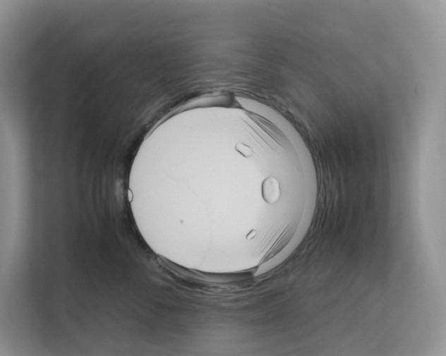 X0000111120716200908111019